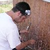 Contributed Photo