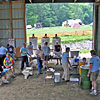 2006 Gallery Photo
