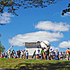 2010 Gallery