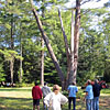 2010 Gallery