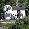 2012 Gallery