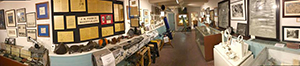 2017 Gallery