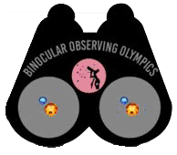 2019 Visual Observing Pin