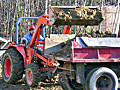 Loading the Dumptruck
