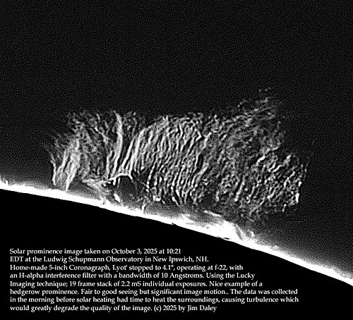 Jim Daley Prominence 7