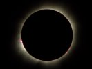 Solar Prominences