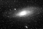 M31