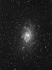 M33