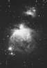 Orion Nebula