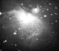 M42