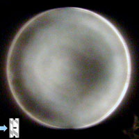A Shadowgram